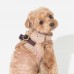 Pettorina Pinkaholic ALISA VEST HARNESS